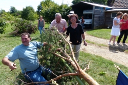 Le Mai - Cliquez pour agrandir l'image